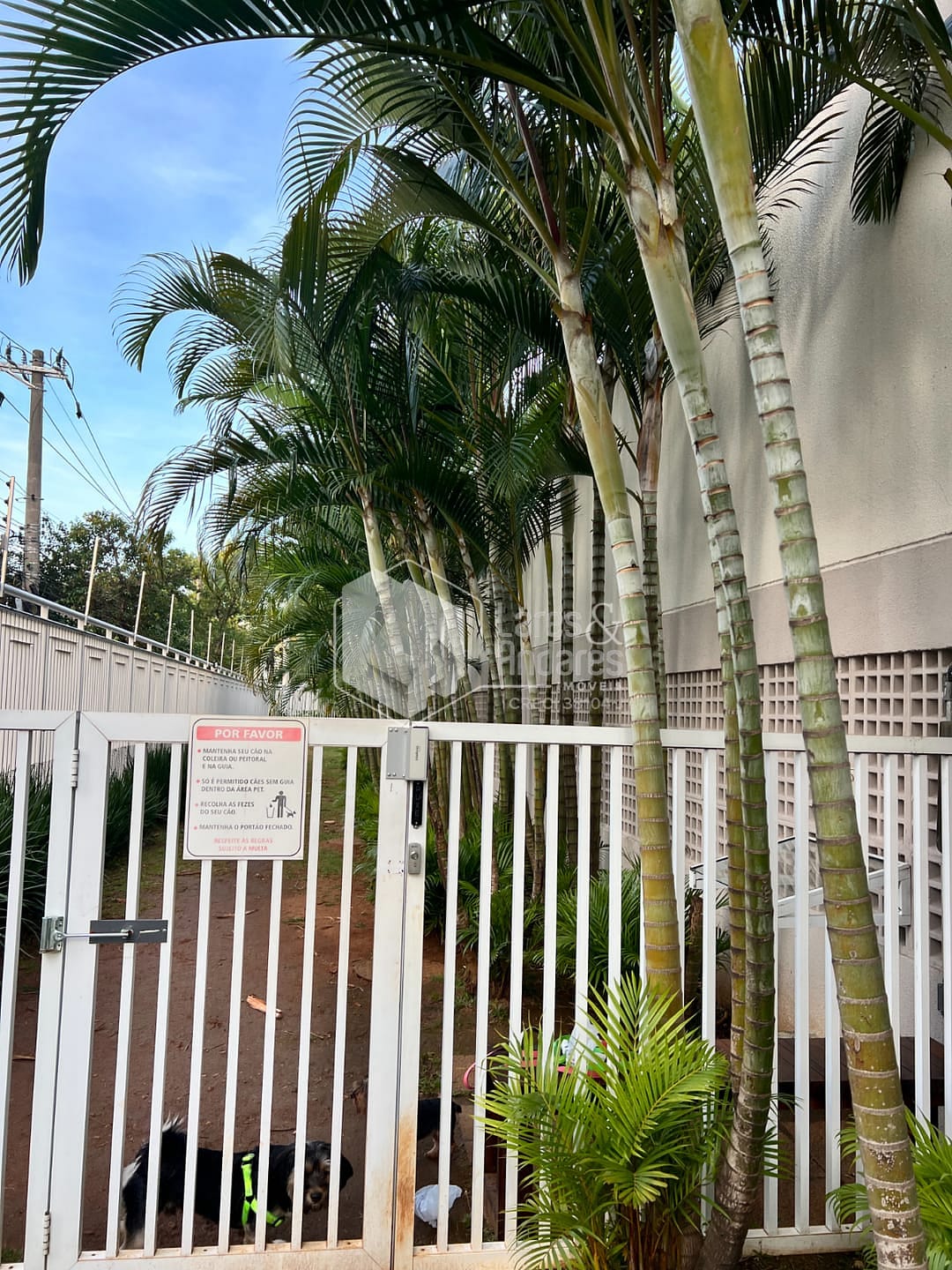 Apartamento, 2 quartos, 70 m² - Foto 70