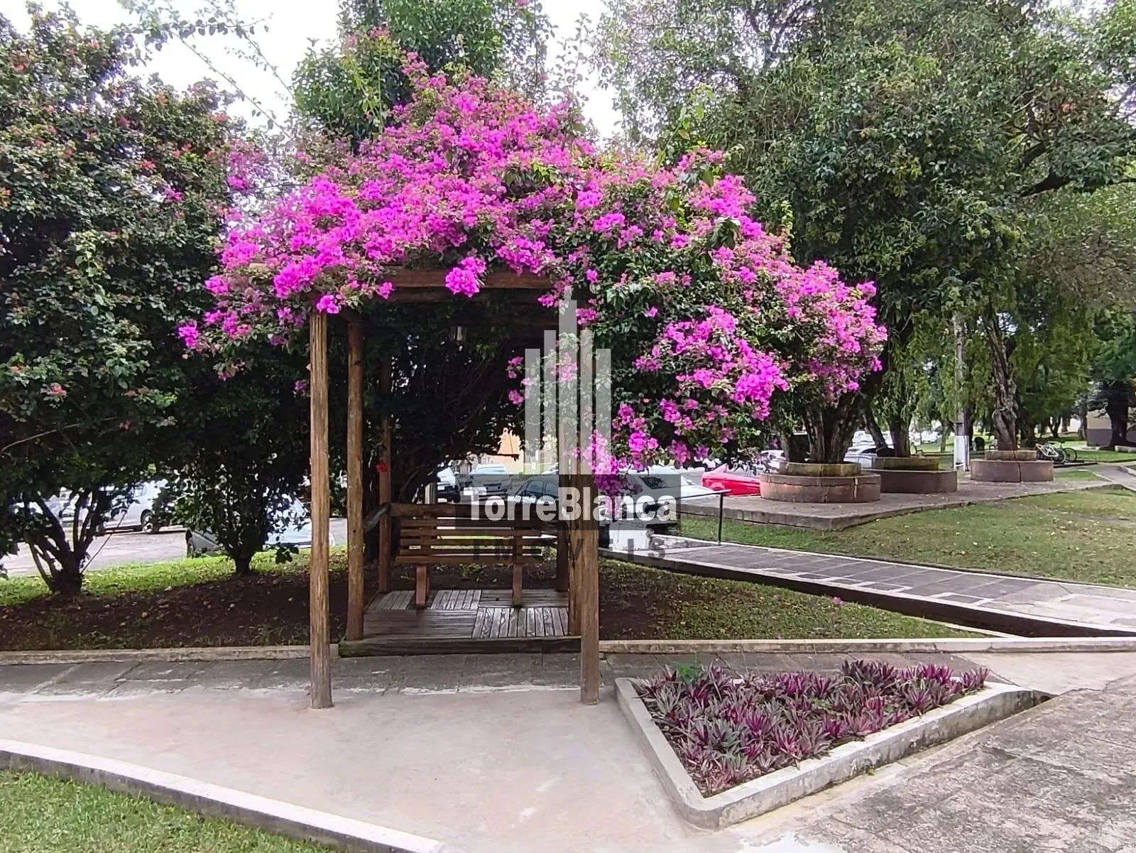 Apartamento, 3 quartos, 76 m² - Foto 4