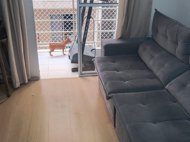 Foto do Apartamento - Apartamento tipo para venda em Jardim Barro Branco com 2 quartos, 50m² | Lares e Andares Imóveis