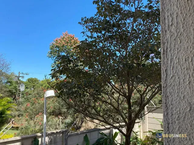 Apartamento 2 quartos e 1 banheiro, à venda, no bairro Jardim Amazonas em Campinas