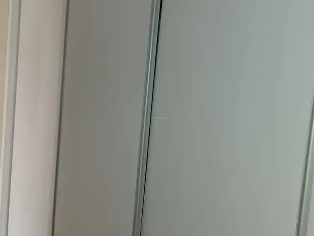 Apartamento 2 quartos e 1 banheiro, à venda, no bairro Vila São Francisco em Hortolândia