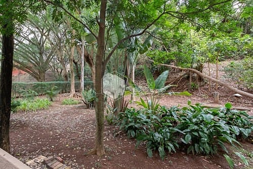 Apartamento, 2 quartos, 50 m² - Foto 39