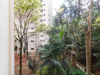Foto do Apartamento-Apartamento tipo para venda em Vila Paulista com 2 quartos, 53m²