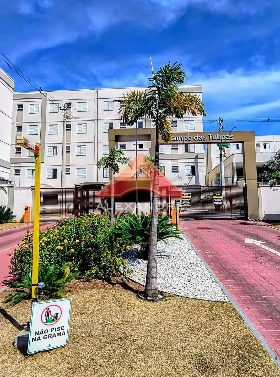 Apartamento, 2 quartos, 38 m² - Foto 7