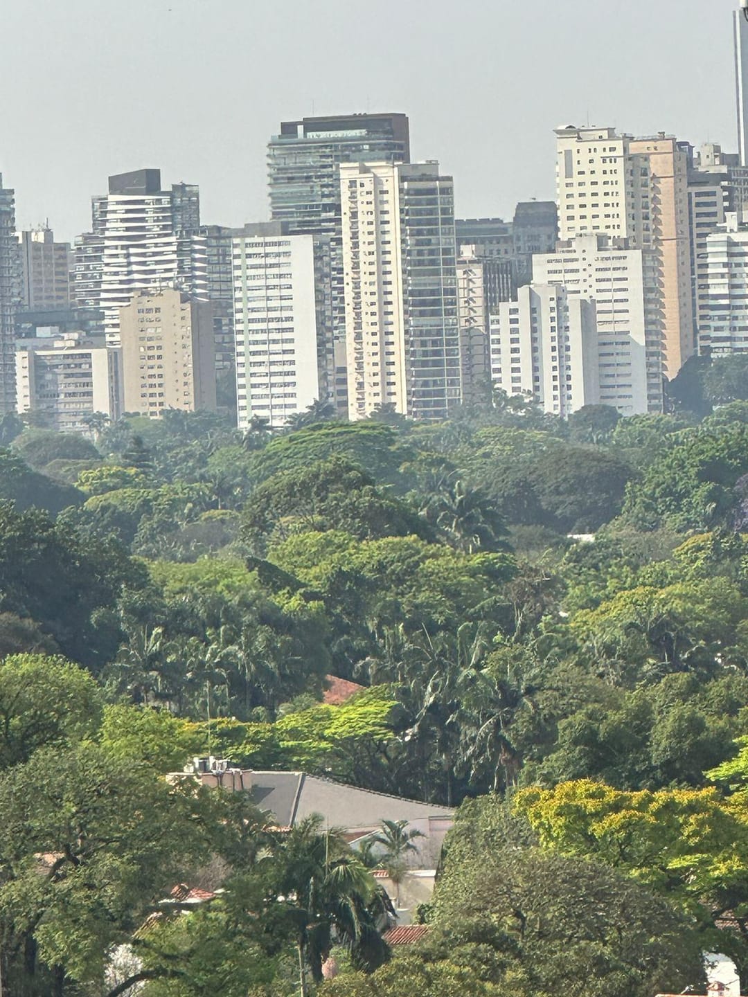 Apartamento em Jardim Europa — foto 4