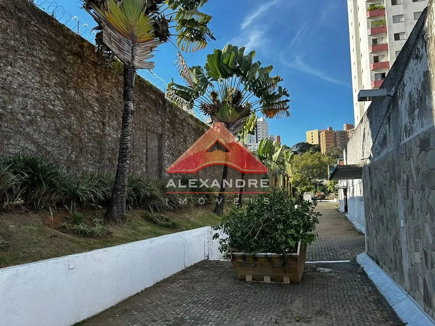 Apartamento, 3 quartos, 114 m² - Foto 13