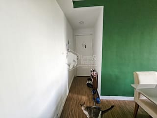 Apartamento com 60m² 2 quartos e 1 banheiro, à venda, no bairro Vila Santa Catarina em São Paulo