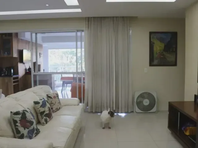 Foto do Apartamento - Apartamento para locação, Vila Leopoldina, São Paulo, SP | D+ Soluções Imobiliárias