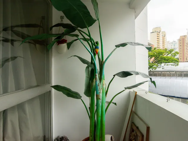 Foto do Apartamento - Apartamento para venda em Pinheiros com 3 quartos, sendo 1 suíte, 90m² | Lares e Andares Imóveis