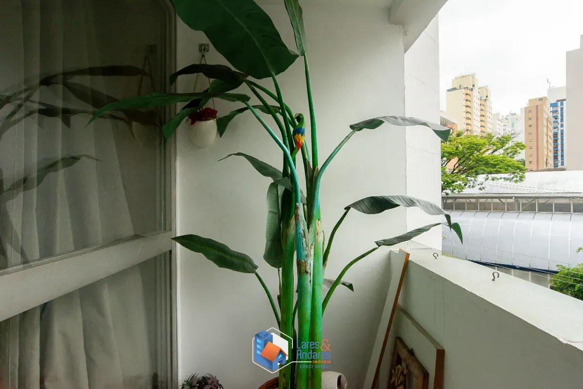 Apartamento, 3 quartos, 90 m² - Foto 3