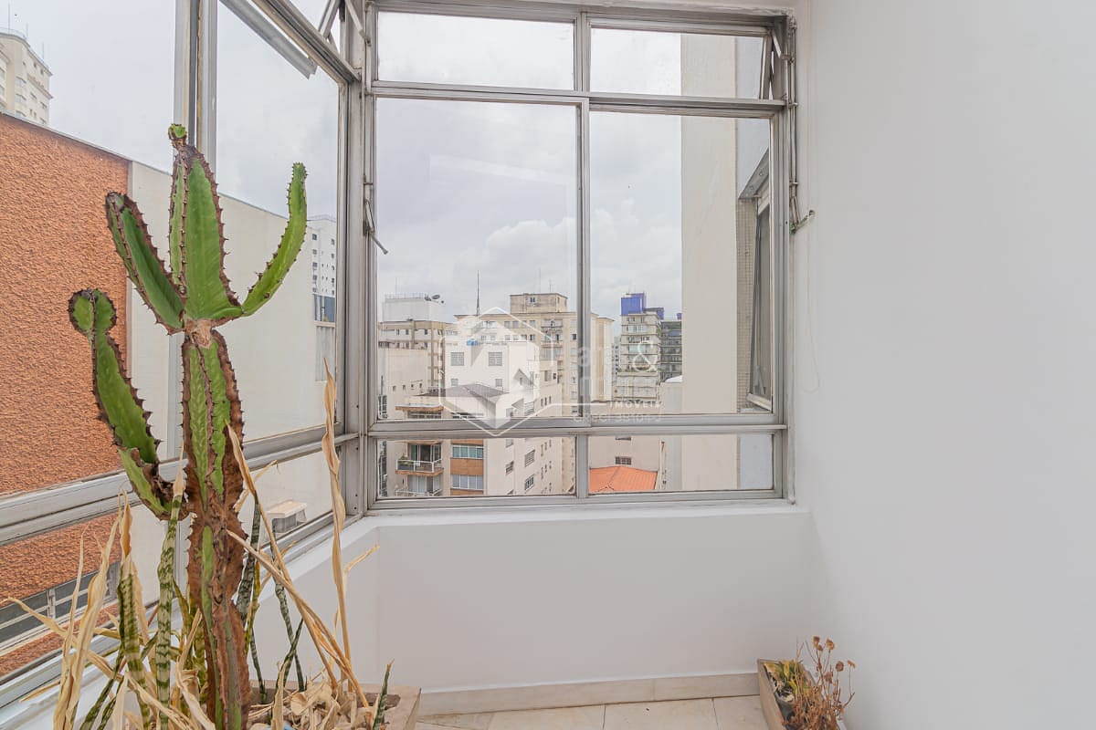 Apartamento, 3 quartos, 230 m² - Foto 4