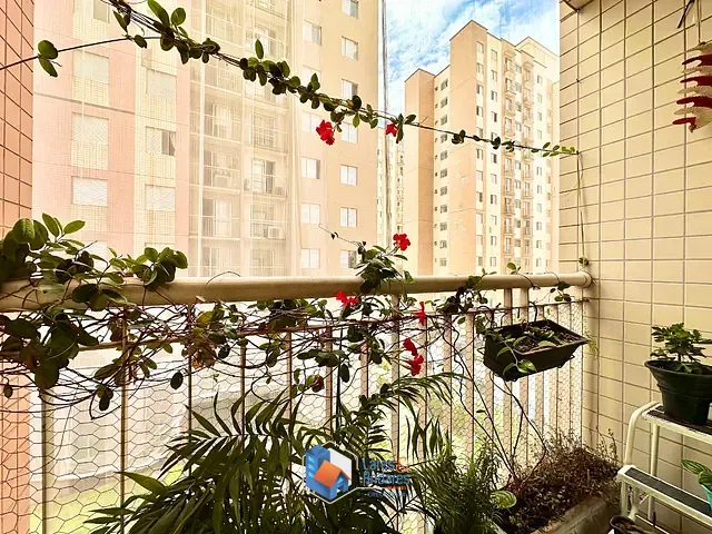 Apartamento com 63m² 3 quartos e 2 banheiros, à venda, no bairro Cambuci em São Paulo