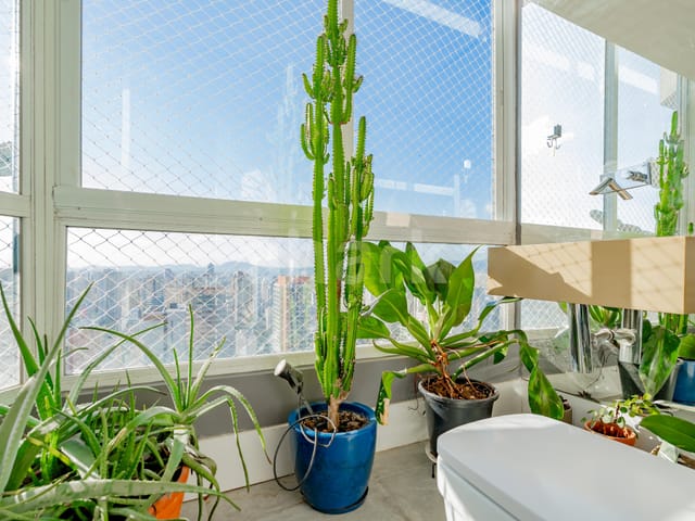Apartamento com 321m² 2 quartos e 3 banheiros, à venda, no bairro Perdizes em São Paulo