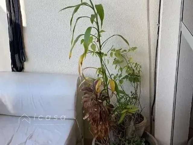 Apartamento 3 quartos e 2 banheiros, à venda, no bairro Monte Castelo em São José dos Campos