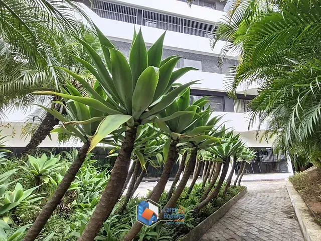 Apartamento com 185m² 3 quartos e 3 banheiros, à venda, no bairro Morumbi em São Paulo
