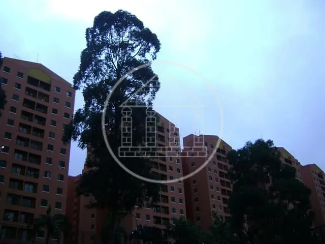 Apartamento com 70m² 3 quartos e 1 banheiro, à venda, no bairro Vila do Castelo em São Paulo