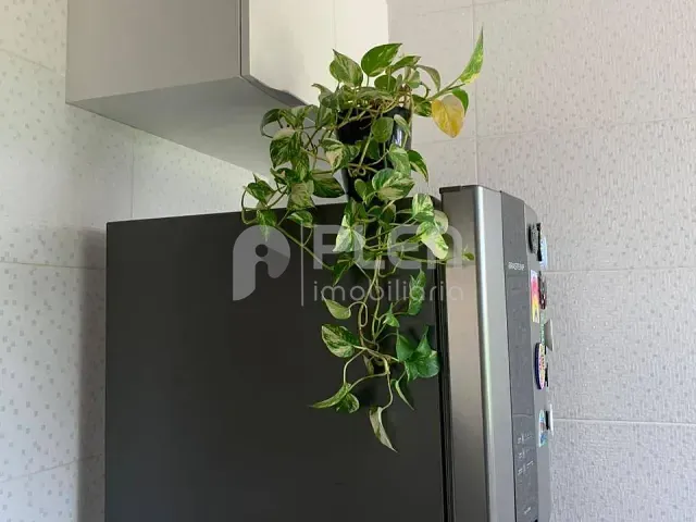 Apartamento com 45m² 2 quartos e 1 banheiro, à venda, no bairro Tremembé em São Paulo