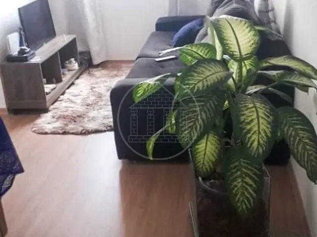 Apartamento com 53m² 3 quartos e 1 banheiro, à venda, no bairro Socorro em São Paulo