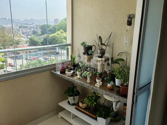 Apartamento 3 quartos e 2 banheiros, à venda, no bairro Jaçanã em São Paulo