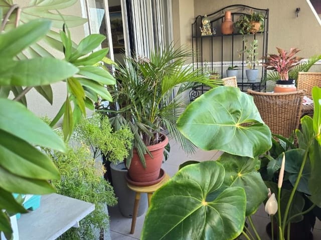 Apartamento 4 quartos e 4 banheiros, à venda, no bairro Jardim das Colinas em São José dos Campos