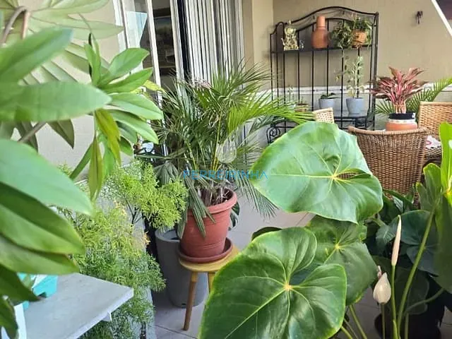 Apartamento 4 quartos e 4 banheiros, à venda, no bairro Jardim das Colinas em São José dos Campos