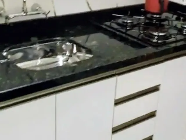 Apartamento 1 quarto e 1 banheiro, à venda, no bairro BATEL em Curitiba