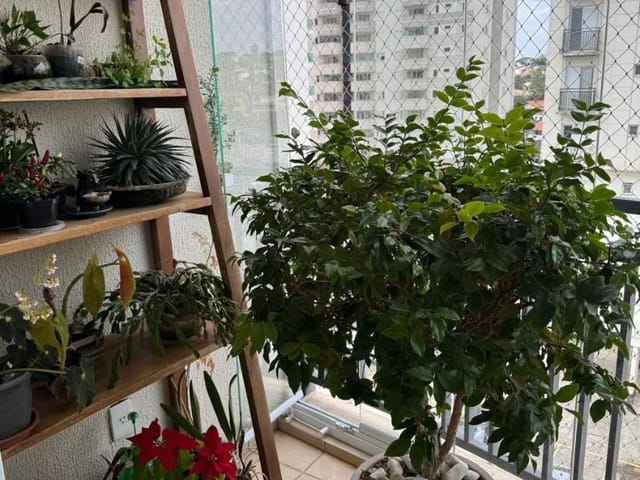 Apartamento 3 quartos e 1 banheiro, à venda, no bairro Jardim Esplanada II em São José dos Campos