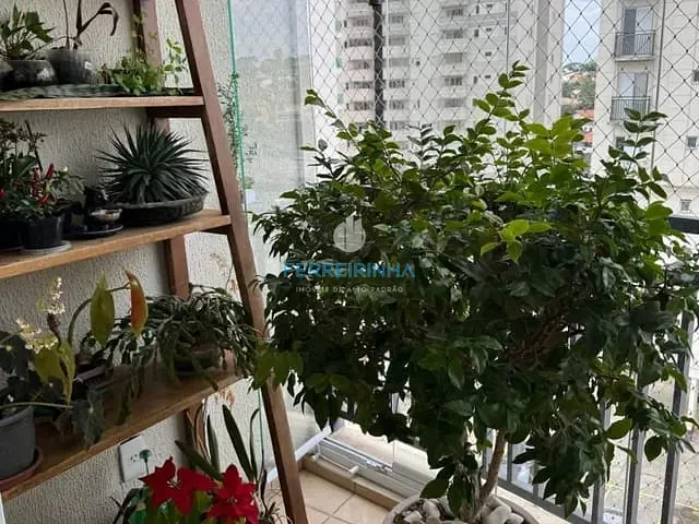 Apartamento 3 quartos e 1 banheiro, à venda, no bairro Jardim Esplanada II em São José dos Campos