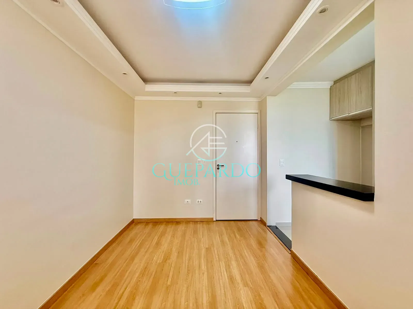 Apartamento, 2 quartos, 45 m² - Foto 3