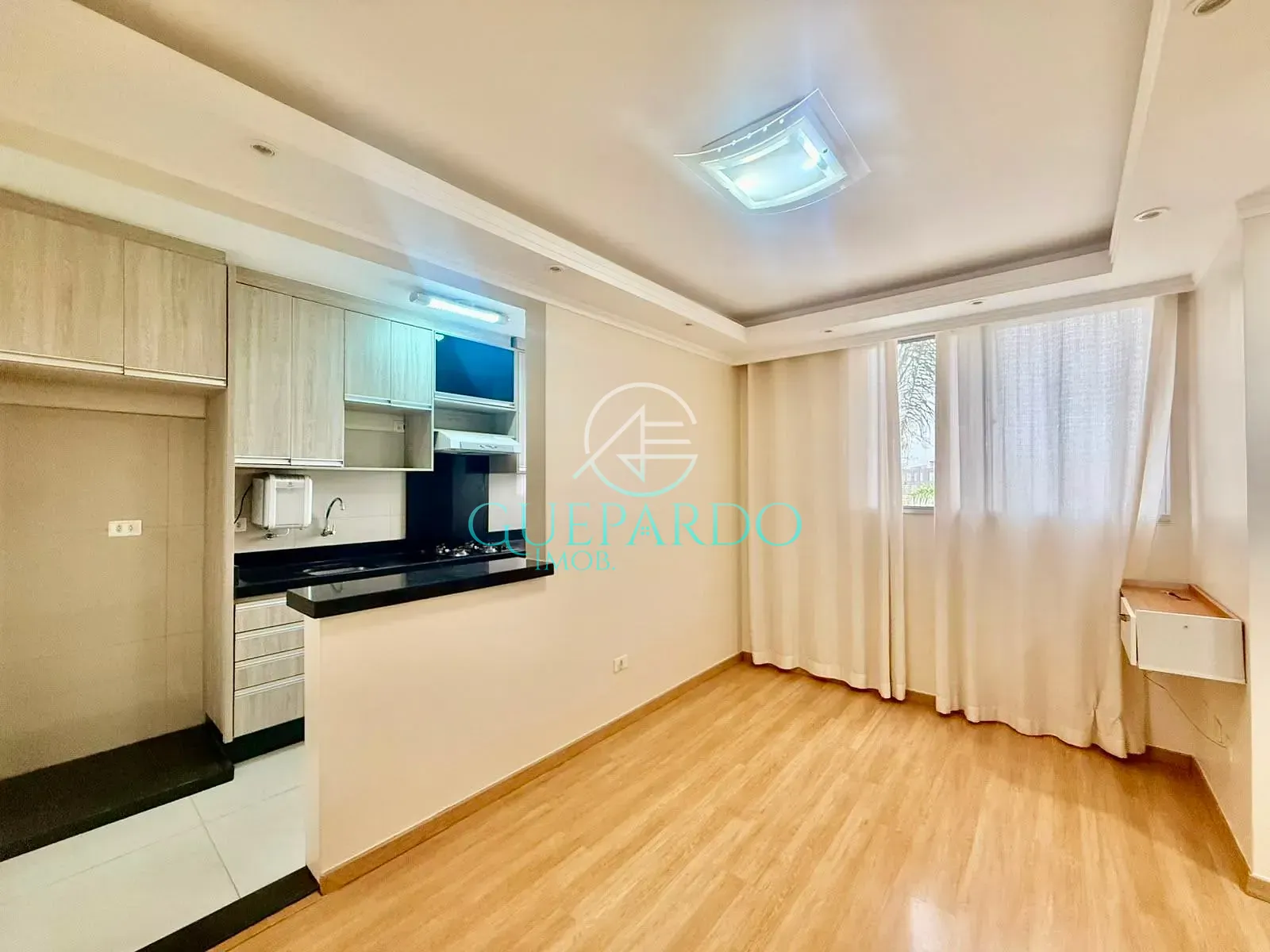 Apartamento, 2 quartos, 45 m² - Foto 1