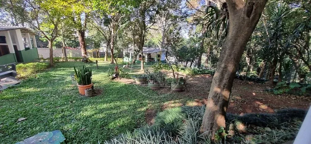 Apartamento, 3 quartos, 74 m² - Foto 31