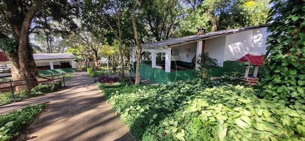 Apartamento, 3 quartos, 74 m² - Foto 25