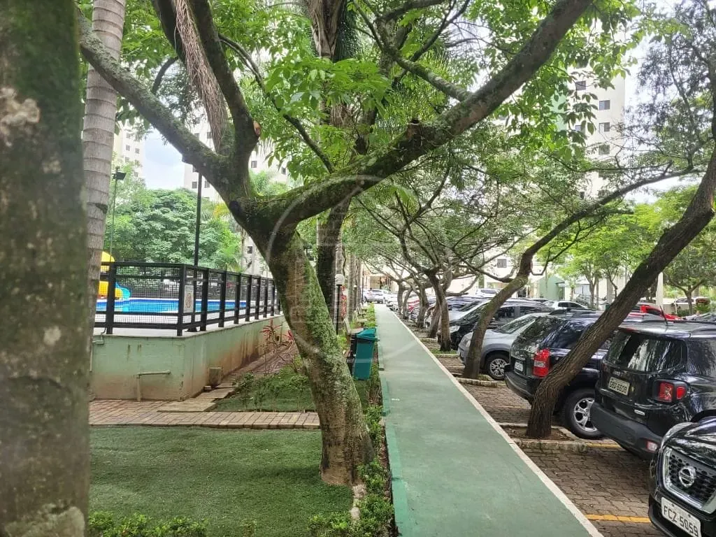 Apartamento, 3 quartos, 65 m² - Foto 19