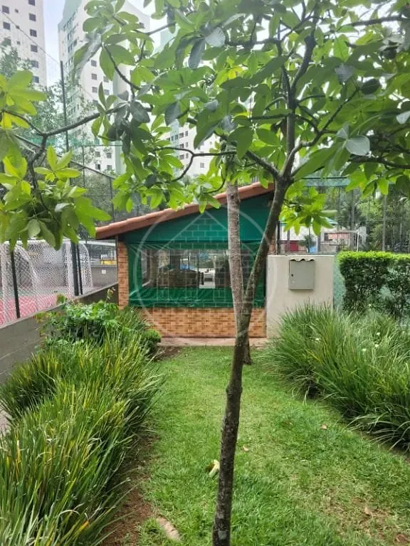Apartamento, 3 quartos, 65 m² - Foto 35