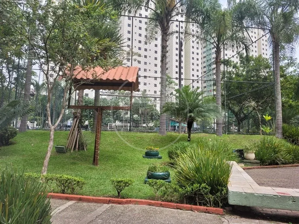Apartamento, 3 quartos, 65 m² - Foto 29