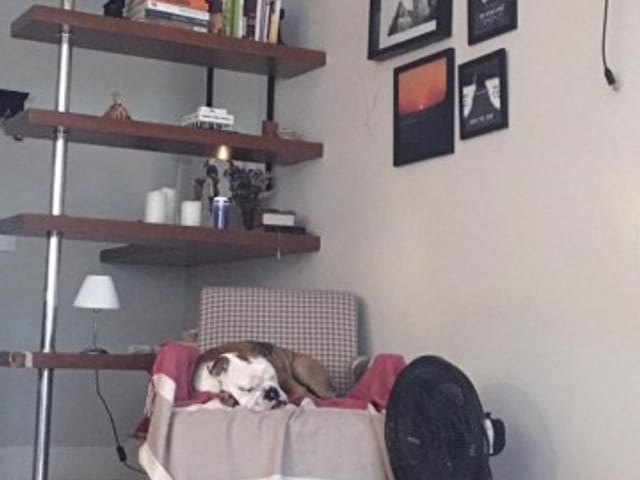 Apartamento à venda, no bairro Centro em Petrópolis