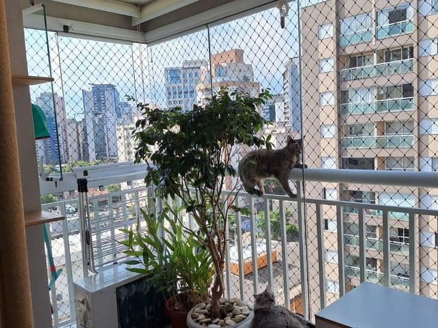 Apartamento com 75m² 2 quartos e 3 banheiros, à venda, no bairro Vila Olímpia em São Paulo