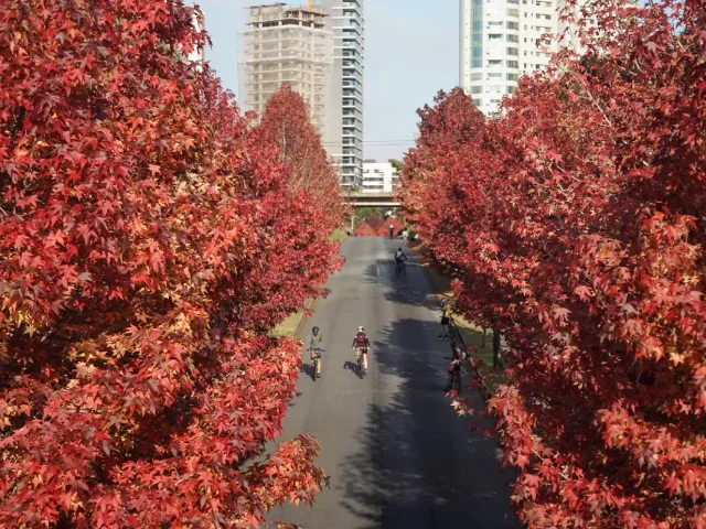 Lançamento disponível, no bairro Campo Comprido em Curitiba