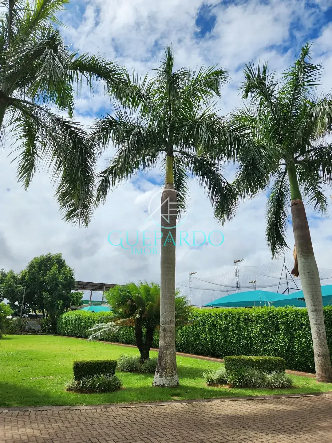 Apartamento, 3 quartos, 55 m² - Foto 15
