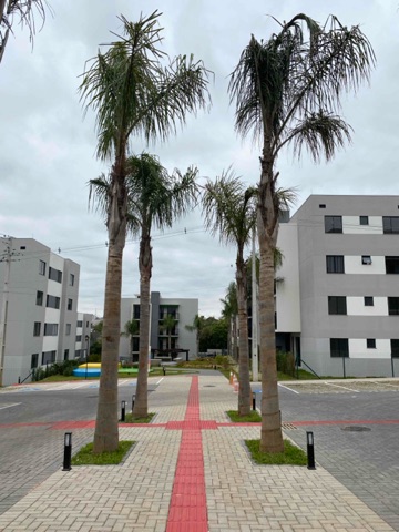 Foto do Apartamento - Apartamento à venda, 3 quartos, Vittace Jardim Carvalho, Ponta Grossa, PR | Adquira Imóveis