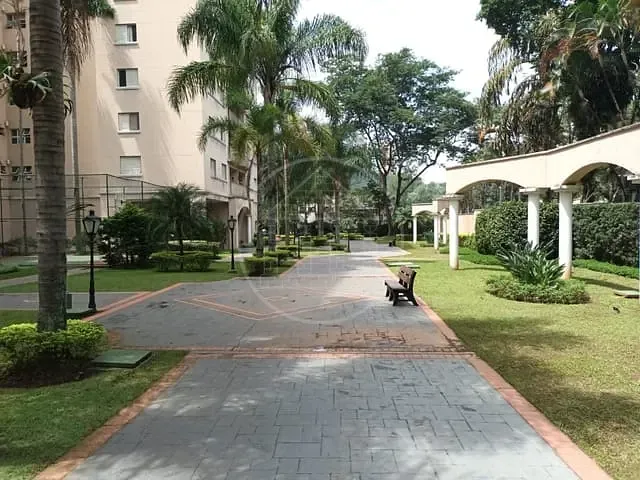 Apartamento com 75m² 3 quartos e 2 banheiros, à venda, no bairro Morumbi em São Paulo