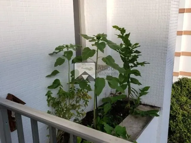 Apartamento com 95m² 2 quartos e 2 banheiros, à venda, no bairro Icaraí em Niterói