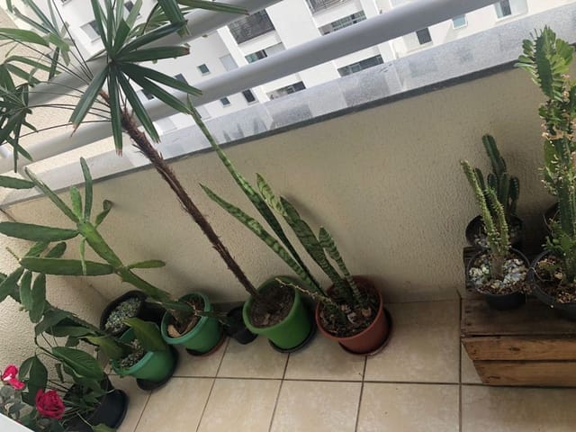 Foto do Apartamento - Apartamento com 3 dormitórios para alugar, 77 m² por R$ 2.100,00/mês - Jardim Aquarius - São José dos Campos/SP | RUSSI IMÓVEIS