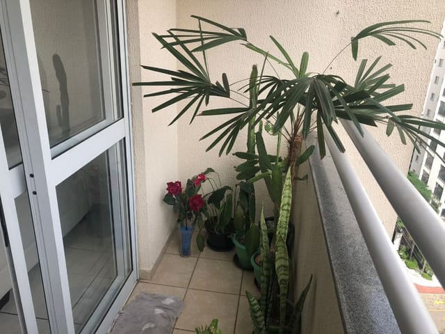 Foto do Apartamento - Apartamento com 3 dormitórios para alugar, 77 m² por R$ 2.100,00/mês - Jardim Aquarius - São José dos Campos/SP | RUSSI IMÓVEIS