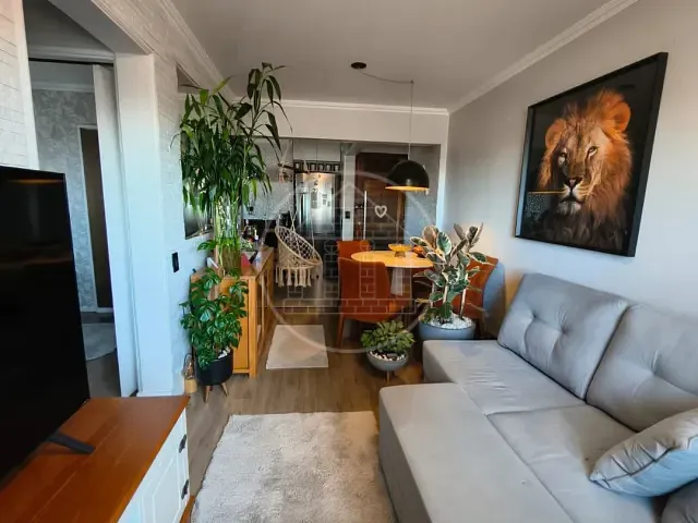Apartamento 2 quartos e 1 banheiro, à venda, no bairro Veleiros em São Paulo