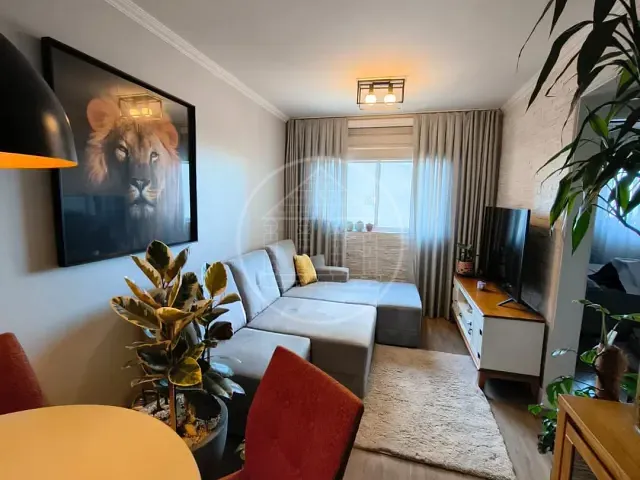 Apartamento 2 quartos e 1 banheiro, à venda, no bairro Veleiros em São Paulo