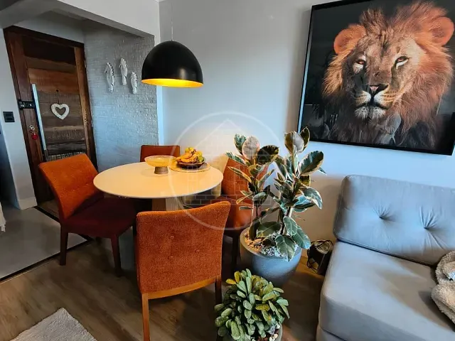 Apartamento 2 quartos e 1 banheiro, à venda, no bairro Veleiros em São Paulo