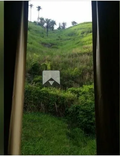 Apartamento, 2 quartos, 55 m² - Foto 7