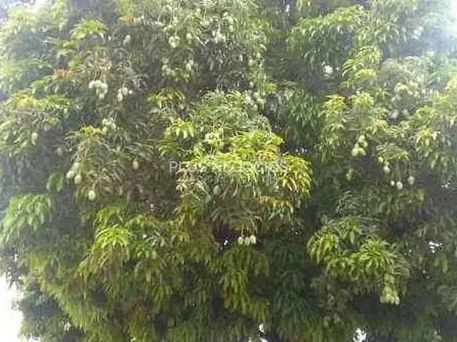 Apartamento com 63m² 2 quartos e 1 banheiro, à venda, no bairro Jardim São Carlos em Sorocaba