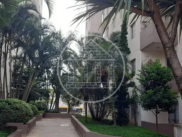 Apartamento 3 quartos e 1 banheiro, à venda, no bairro Vila Inglesa em São Paulo